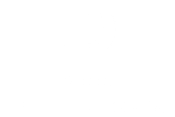 DG2 Logo. Meet Sam Saboura.