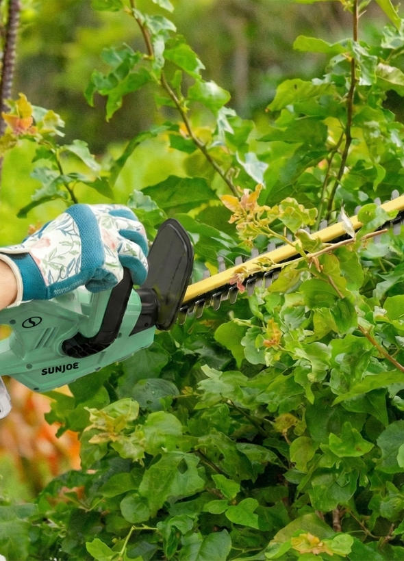 Hedge trimmer