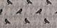 Black Crows