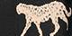 Black Tossed Cheetah