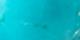 Blue Magnesite