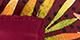 Burgundy/Palms