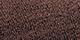Chocolate Brown