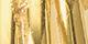Gold-Plated