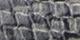 Gray Snake