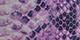Gray Woven/Purple Snake Skin