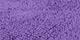 Joy Purple