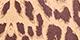 Natural Leopard