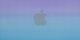 Purple/Blue