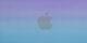 Purple/Blue