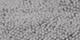 Rich Gray