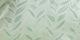 Vineyard Green