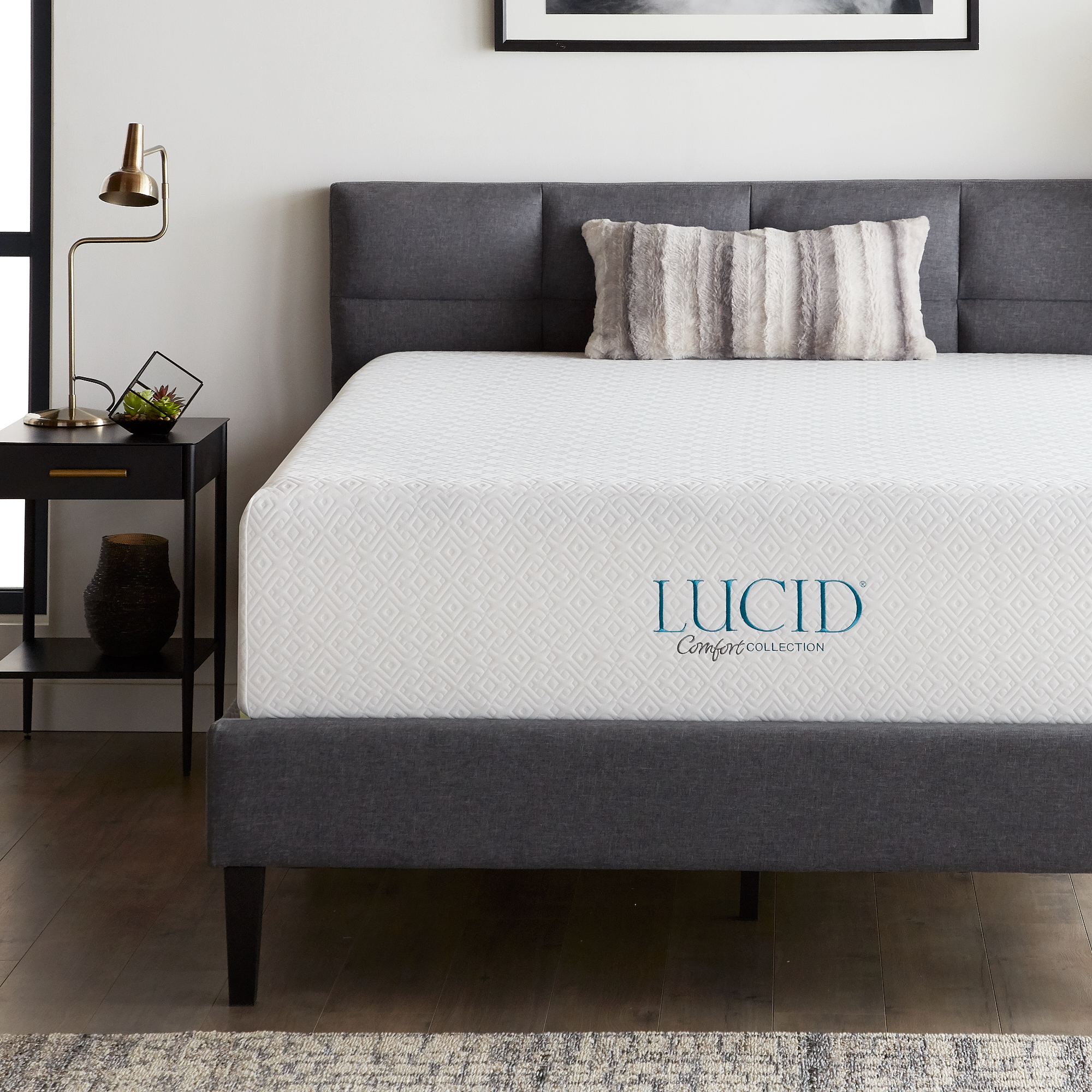 LUCID Comfort Collection 14