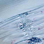 image 2 of 7