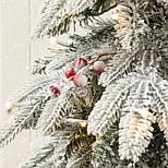 image 11 of 11