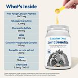 Joint Benefits for Dogs - 500 servings