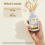 Phytoceramides - 240 Capsules