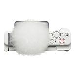 image 11 of 12