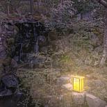 image 7 of 10