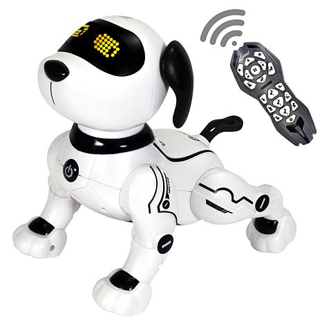 contixo robot dog
