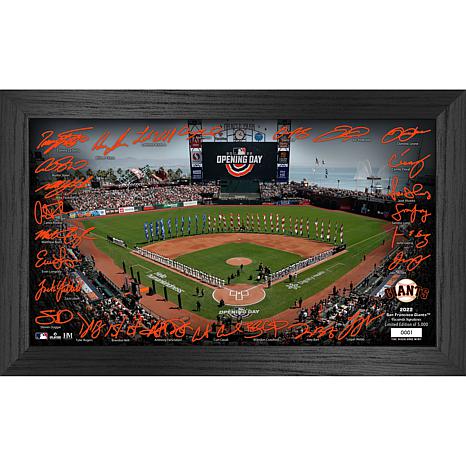 Highland Mint Washington Nationals 2022 Signature Field Photo Frame