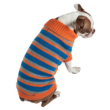 polo dog sweater