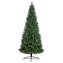10’ Wisconsin Slim Snow Tip Pine  Christmas Tree