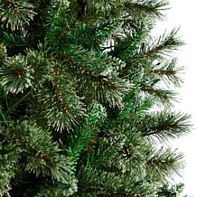 10’ Wisconsin Slim Snow Tip Pine  Christmas Tree