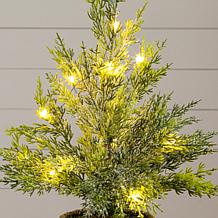 18-in Christmas Tree with 15 LED Lights by Nearly Natural