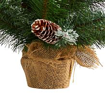 2 ft. Frosted Pine Artificial Christmas Tree with 35 Clear LED Ligh...