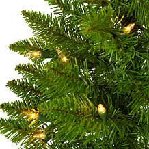 2 ft. Providence Pine Artificial Christmas Tree in Decorative Plant...