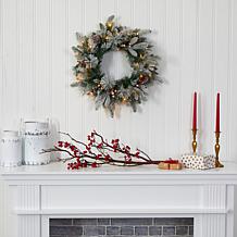 20 in. Flocked Mixed Pine Artificial Christmas Wreath with 50 LED L...