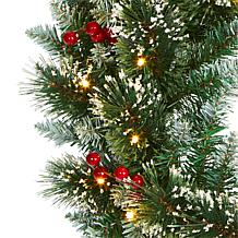 24 in. Frosted Swiss Pine Artificial Wreath with 35 Clear LED Light...