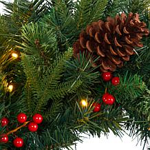 24 in. Mixed Pine Artificial Christmas Wreath with 35 Clear LED Lig...