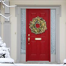 24" Premium Decorated Wreath - 50 Clear Lights