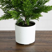 28-in Real Touch Christmas Spruce Pine by Nearly Natural