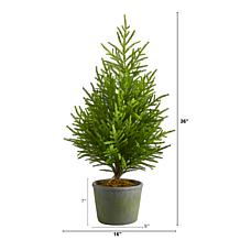 3 ft. Norfolk Island Pine Natural Look Artificial Tree in Decorativ...