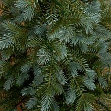 3-ft Pine Christmas Tree with 60 LED Lights by Nearly Natural