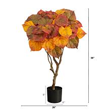 3Ft. Autumn Umbrella Ficus Tree