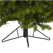 4' Cambridge Spruce Flat Back Artificial Christmas Tree with 100 Wa...