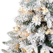 4' Flocked Vermont Mixed Pine Artificial Christmas Tree with 100 Cl...