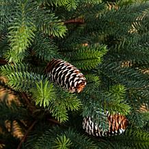 4-ft Balsam Fir Christmas Tree in Planter by Nearly Natural