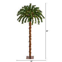4 ft. Christmas Palm Artificial Tree with 150 Warm White LED Lights