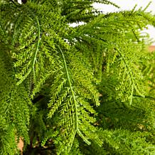 4-ft Real Touch Goldcrest Christmas Tree by Nearly Natural