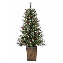 4' Potted Hard Mixed Needle Glazier Pine Tree - 100 Clear Lights