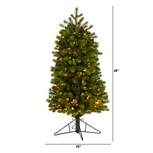 4’ Slim Colorado Mountain Spruce Christmas Tree with 150 Lights