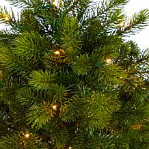4’ Slim Colorado Mountain Spruce Christmas Tree with 150 Lights
