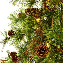 4' Wyoming Alpine Artificial Christmas Tree with 50 Clear multifunc...