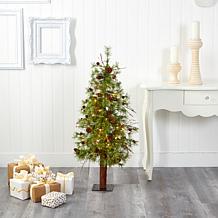 4' Wyoming Alpine Artificial Christmas Tree with 50 Clear multifunc...