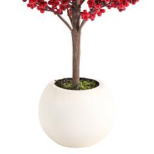 41" Christmas Berry Porch Tree with White Pot